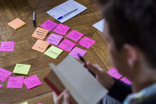 开云在线入口-体育公益项目社会影响力研究，关于体育的公益项目