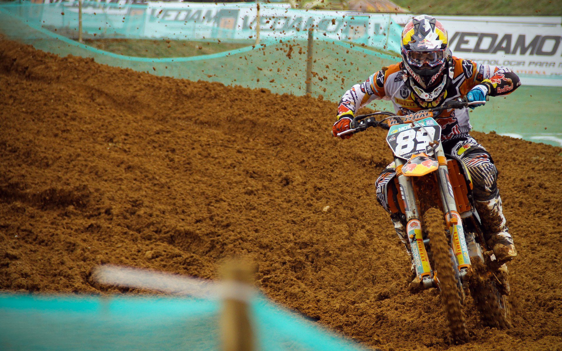 体育公益项目社会影响力研究，关于体育的公益项目